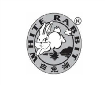 安徽白兔湖动力有限公司